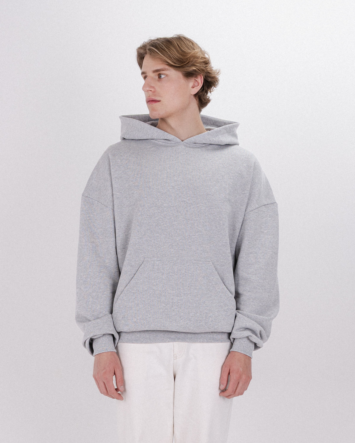HOODIE BASIC DUST GREY